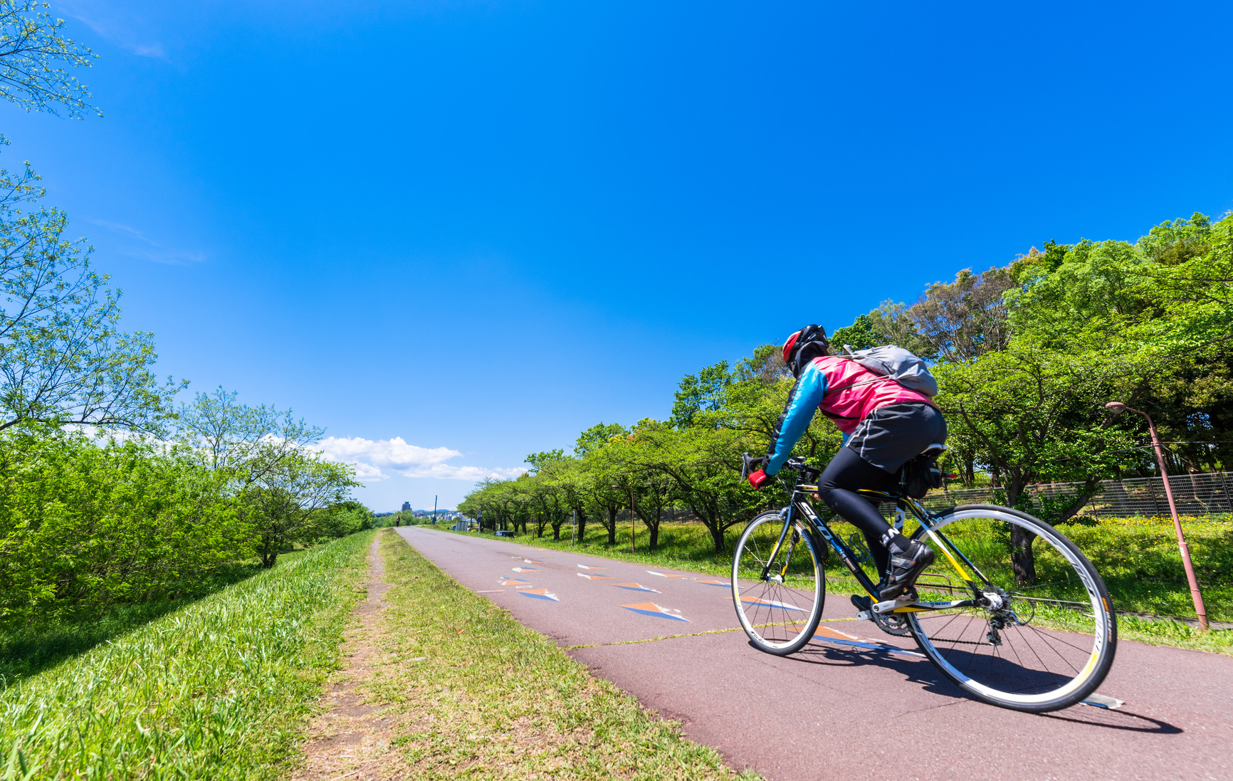 自転車